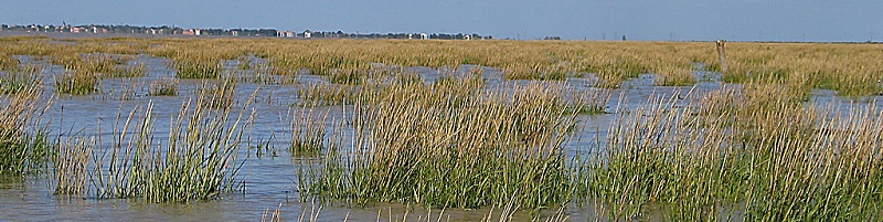 Paysage de la Baie de l'Aiguillon