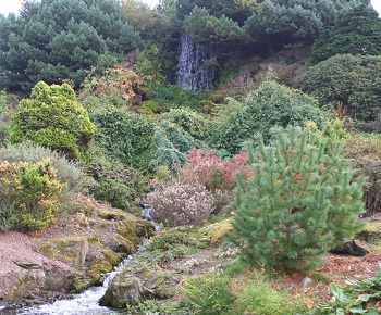 Le jardin botanique d'Edimbourg