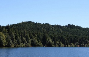 Le lac du Bouchet