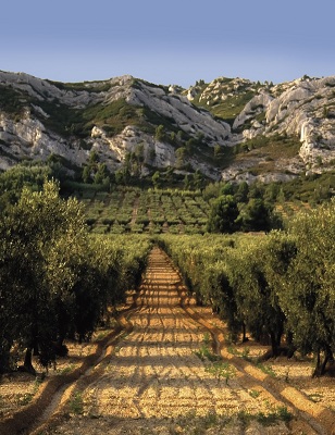 Les Alpilles à proximité d'Aix en Provence et de St Rémy de Provence