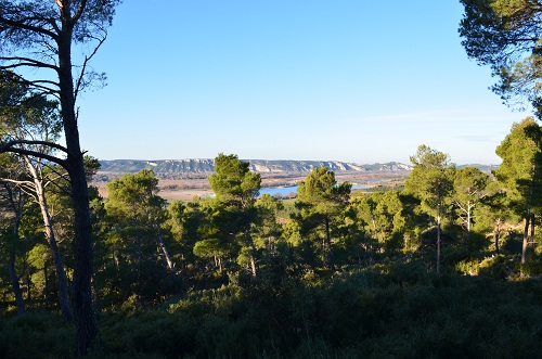 Paysage du Luberon avec les Alpilles au second plan