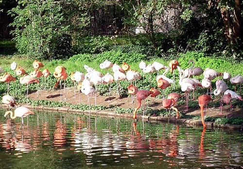 Le parc zoologique de Paris