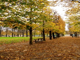 Jardin du Luxembourg