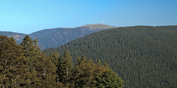 Paysage du Feldberg en Allemagne