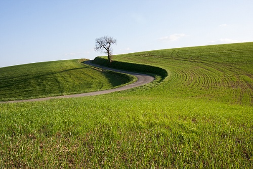 Un paysage dans le Gers au printemps