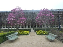 Jardin du palais royal