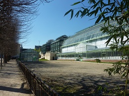 Jardin des plantes grande serre