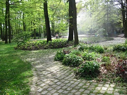 Allees dans parc de Vincennes